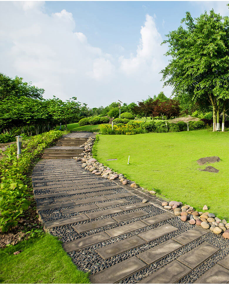 dora-park-marin-hakkimizda-1