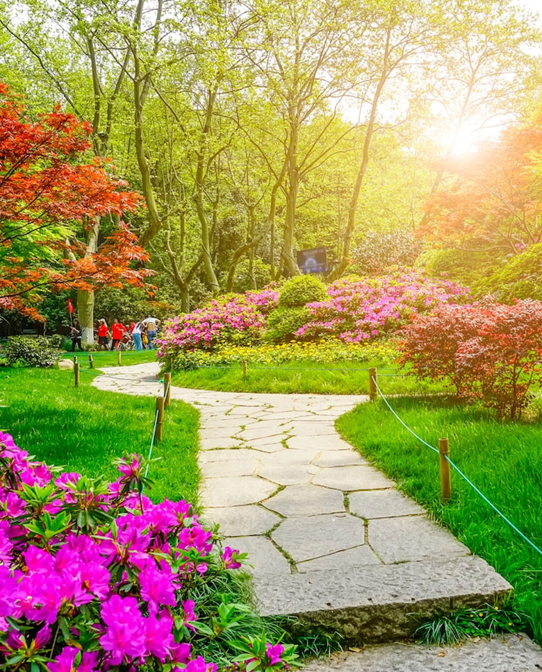 Hakkımızda Dora Park Marin